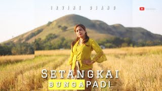 SETANGKAI BUNGA PADI - IRVINE DJANO - LAGU JOGET PESTA 2023