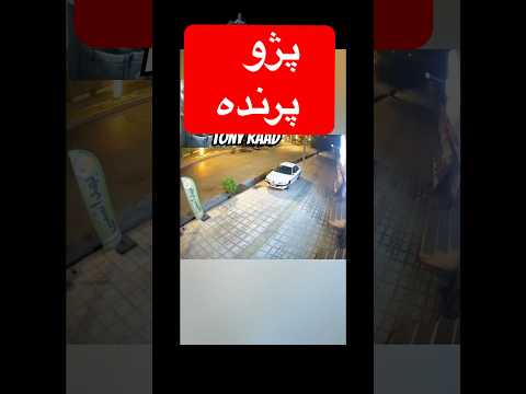 پژو پارس پر پژوپارس پژو پژو405 پژو پارس