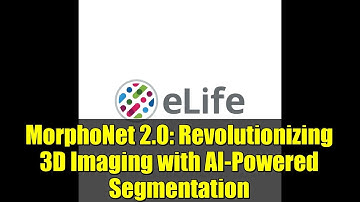 MorphoNet 2.0: Revolutionizing 3D Imaging with AI-Powered Segmentation