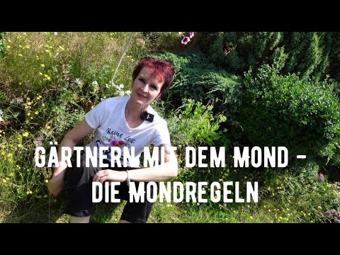 Video: Wie ordne ich Preisschilder für Waren an?