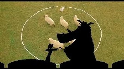 Timon and Pumbaa Interrupt 8 Babe