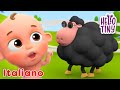 Pecorella Nera Canzoni Di Animali Hello Tiny Italiano Canzoni Per Bambini mp3