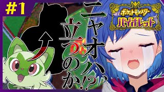 【ポケモンSV】ニ ャ オ ハ 立 つ な【にじさんじ/西園チグサ】