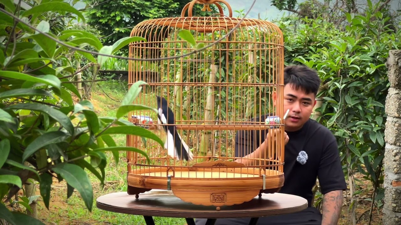 CB RamBo siêu choè than chạy bố sàng cầu siêu đẹp