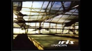 Video thumbnail of "Iris - Unknown (Spatial Dub Mix)"