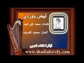 أبيض ياوردى