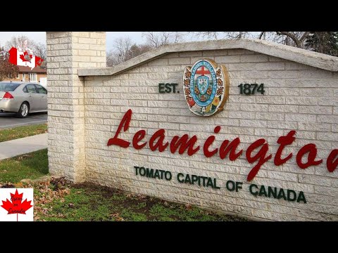Video: ¿Ontario cerró los lanzamientos de botes?