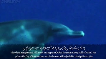 ناصر القطامي وَقَالُوا الْحَمْدُ لِلَّهِ الَّذِي صَدَقَنَا وعده تلاوة خاشعة