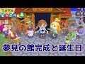 【とび森】♯16 夢見の館完成と誕生日