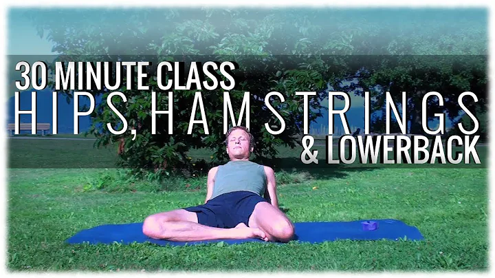 Hatha Yoga with David Procyshyn: A 30 Minute Class...