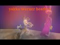 Yakko warner beatbox solo - fester and friends beatbox battles reloaded