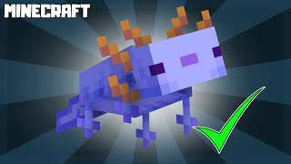 MINECRAFT | How to Get Rare BLUE Axolotl! 1.17