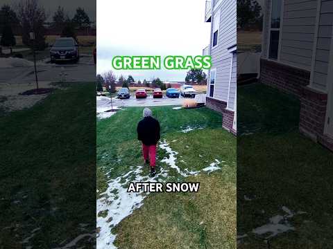 Soil Amendments And Snow 