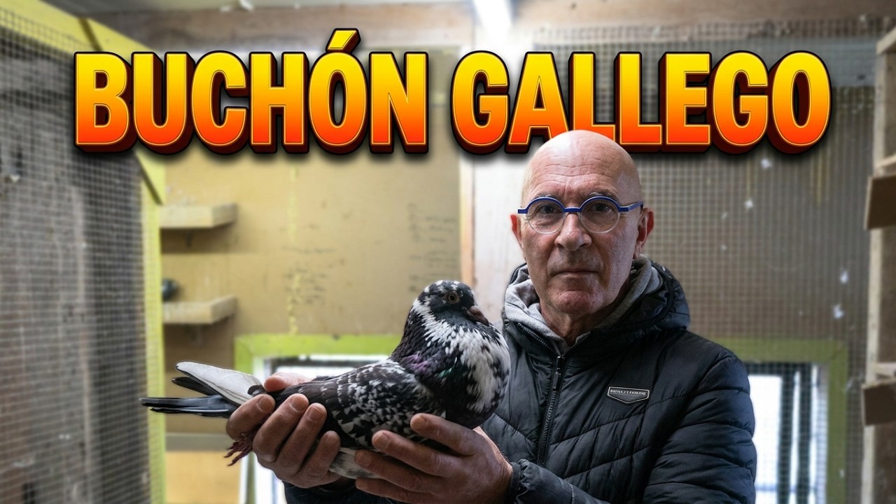 Manuel de Lugo criador de Bucho Gallego