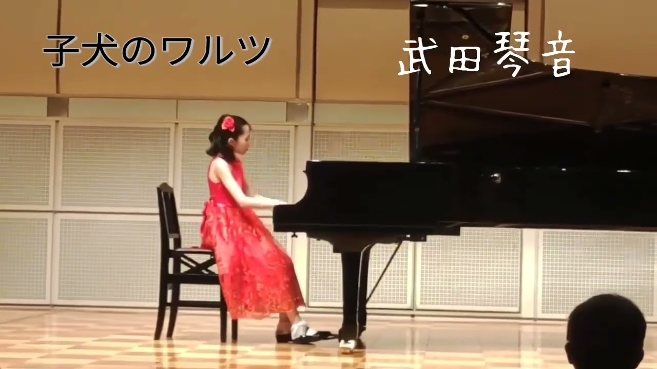 YAMAHA 自動演奏 ピアノプレイヤー 小犬のワルツ 【公式通販】