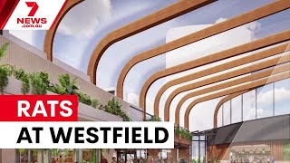 Rat infestation hits Westfield Bondi Junction food court | 7NEWS