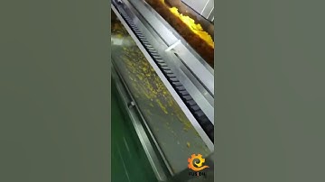 Citrus Juice Processing Line to Produce Orange and Other Juice