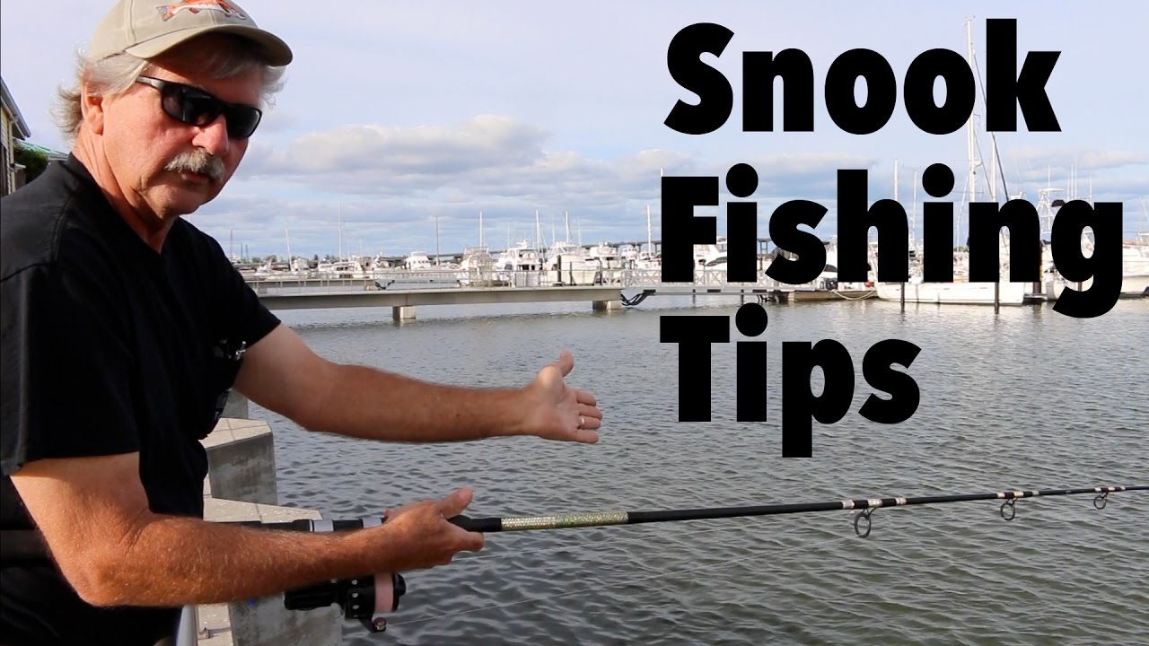 deep blue sea 3 Tides, Current and the 4 day window ft. Tom Lewis (Tackle Tuesday #11)