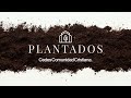 Plantados en la gran comisión Pt. II - Ps.Guty Martinez