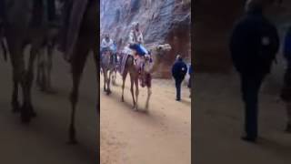 Siq In Petra Jordan