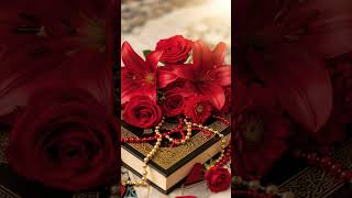 New taste of Quran just read  &amp; get evidence forever