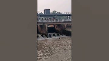 Brave boy high jumped in the canal #pakistan #canal #jumped #foryou #viral #shorts #youtubeshorts
