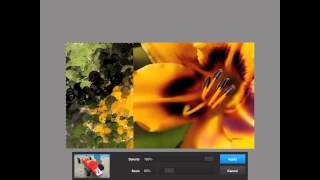 Photoshop Touch on iPad -  fx Menu screenshot 4