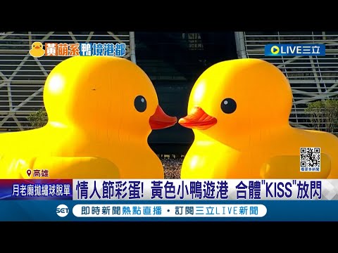 情人節彩蛋! 黃色小鴨遊高雄港合體"KISS"放閃 550萬人次朝聖黃色小鴨!金虎爺也來朝聖 │【LIVE大現場】20240214│三立新聞台