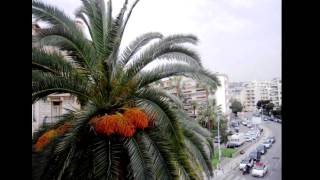 Vente - Appartement Nice Centre Ville - 405 200