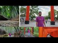 Vlog - 2 || Tokyo to Kyoto || Bamboo Forest 🎍 || Fushimi Inari Taisha Shrine (Temple)