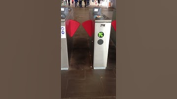 Tapping off at an Opal Card ticket barrier in Sydney
