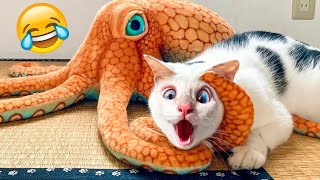 Funny Animal Videos 2023 - Funniest Cats And Dogs Video