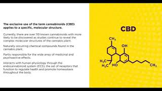CBD OIl Reviews - TLC CBD