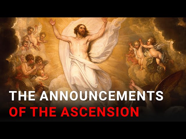 Daily IVE Homilies, May 12 2024 - The Announcements Of The Ascension