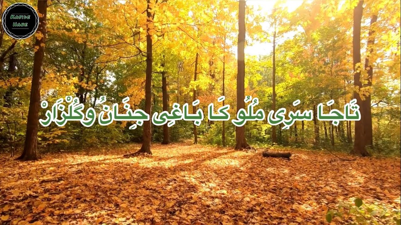 Taca Serê Müluka -Şeyh Muhammed Emin El-Hayderi’nin Şeyh Alaeddin Üzerine Yazdığı Kaside #kaside