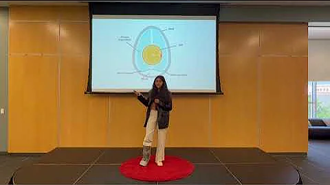 Chemistry Cuisine  | Jessica Burke | TEDxYouth@Oco...