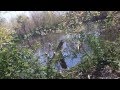 Metal Detecting - 1800's Swimming hole