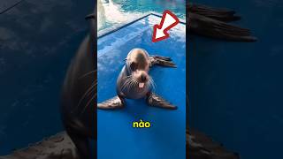 Ai Dễ Thương Được Nhiều Đồ Ăn Hơn