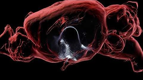 Whole Brain Visualization of GLP1R Neurons that Send Inputs to the PVH