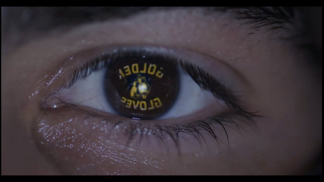 GOLDEN GLOVES VR Trailer