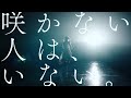 櫻坂46 新メンバーオーディションCM の動画、YouTube動画。