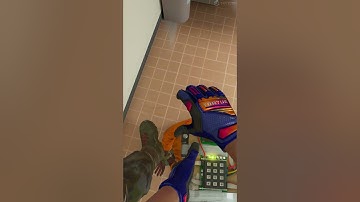 Planting on the Hostage in CS2