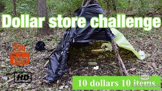 Dollar Store Survival Challenge | 10 dollar 10 items