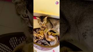 Fun Moments With Mommy And Her Mini Me