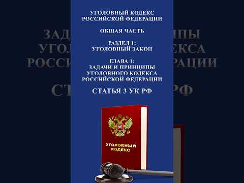 Статья 3 УК РФ. Принцип законности. 📜⚖️🏛️