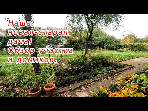 Мы купили старую дачу! Первый обзор домика и участка.