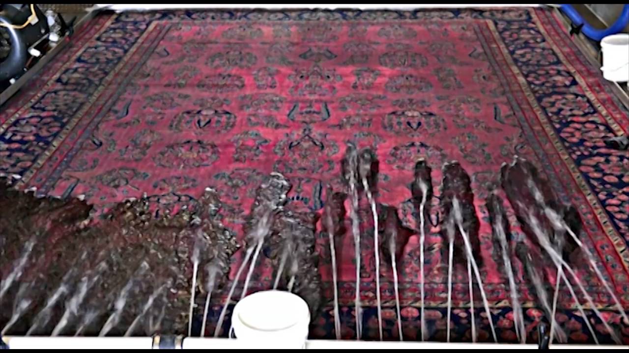 Oriental rug organic cleaning service