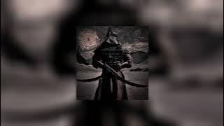 Shey Shey (New Nashid)