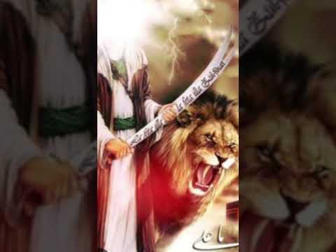 #yaali #allah i ❤️ Mohammed Ali ☝️🥺🤲
