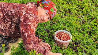 Витамины на всю зиму 🍓🍓🍓